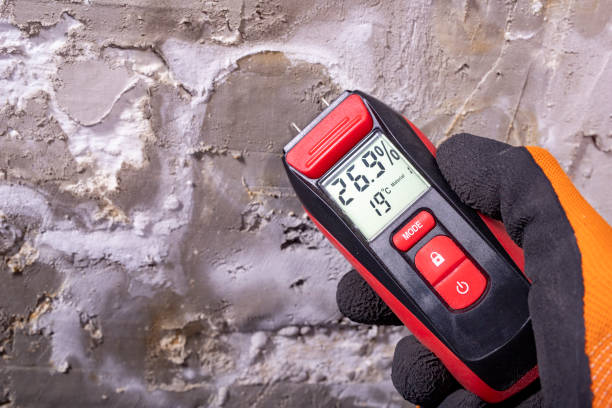 Newton, AL Mold Remediation Company